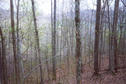 #5: Looking down hill to valley from confluence point