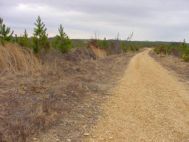 Manbone Ridge Road