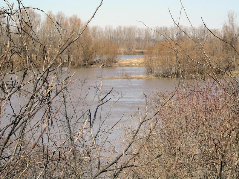A side channel of the Mississippi River as seen from Amel Road.