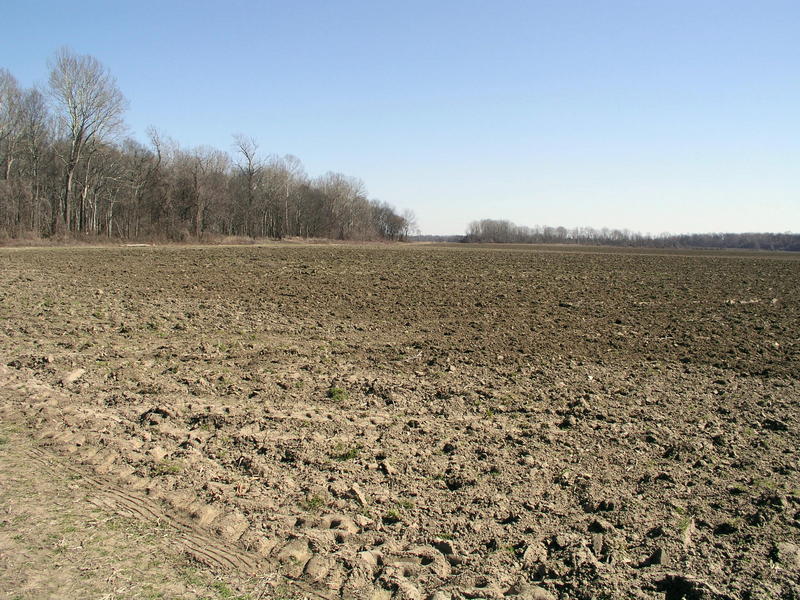 Looking East from 34N 91W.