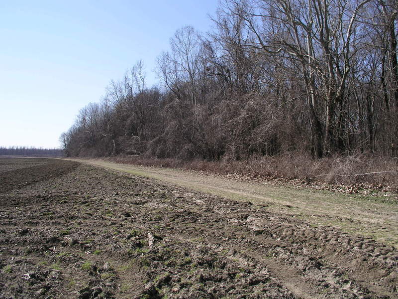 Looking West from 34N 91W.