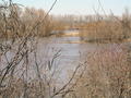 #10: A side channel of the Mississippi River as seen from Amel Road.