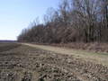 #5: Looking West from 34N 91W.