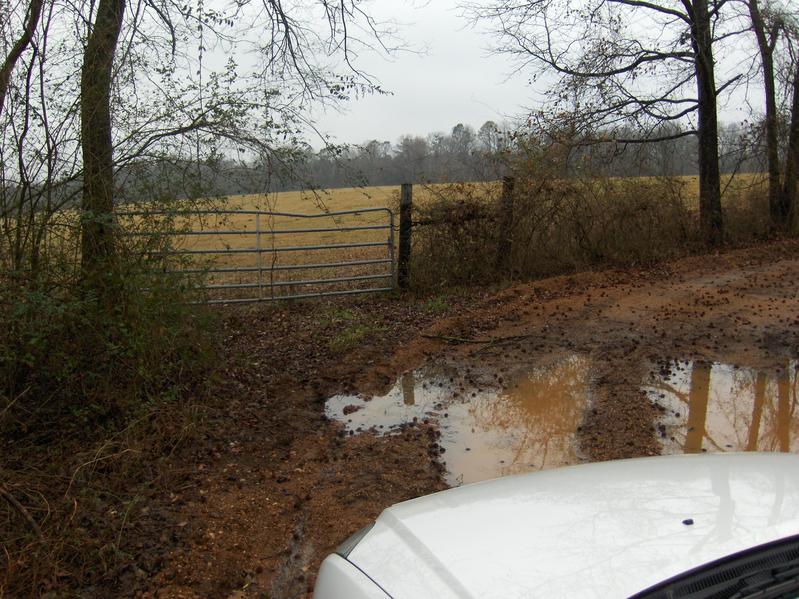 ACCESS GATE TO CP