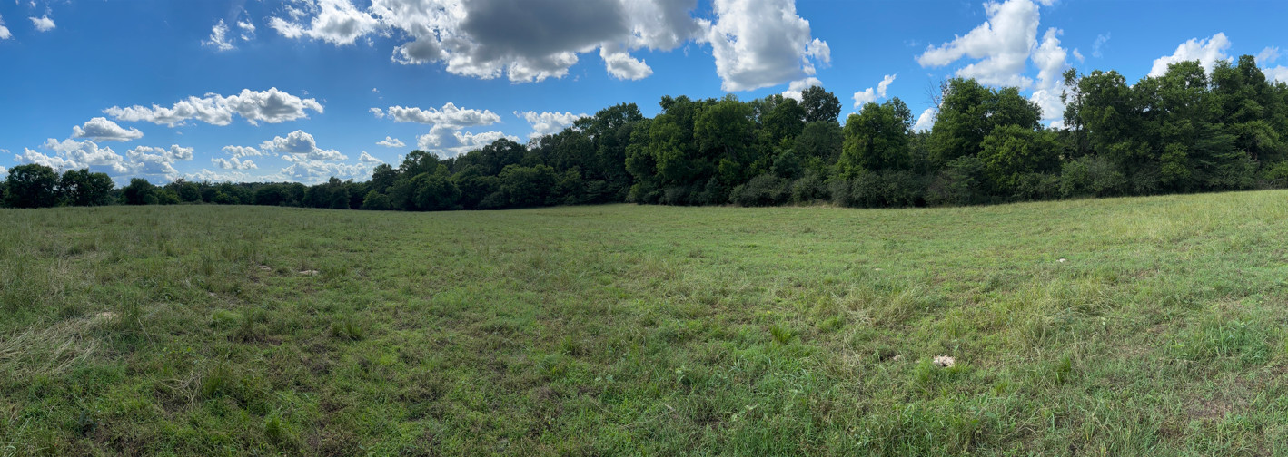 225-degree panorama of the confluence field. 