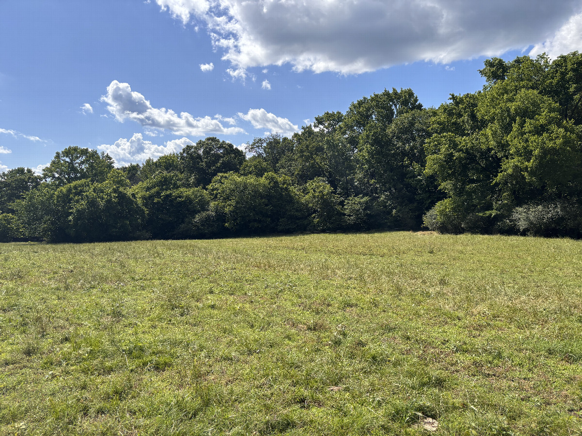 A view to the west from the confluence point.