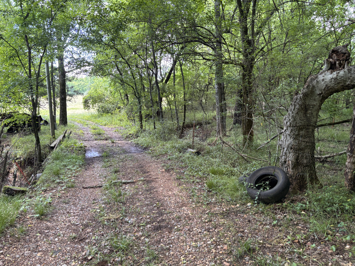 Lane leading to the confluence field. 
