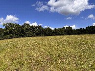 #3: A view to the east from the confluence.