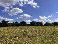 #4: A view to the south from the confluence.