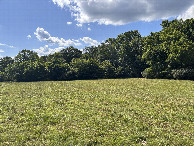 #5: A view to the west from the confluence point.