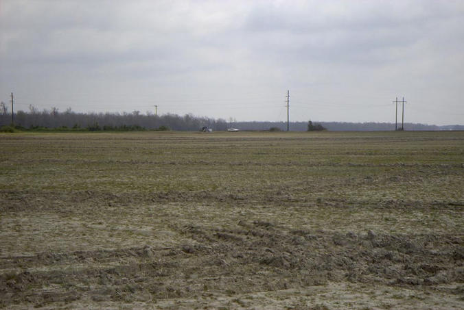 View from the confluence facing NE