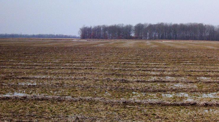 Muddy field looking west from the confluence.