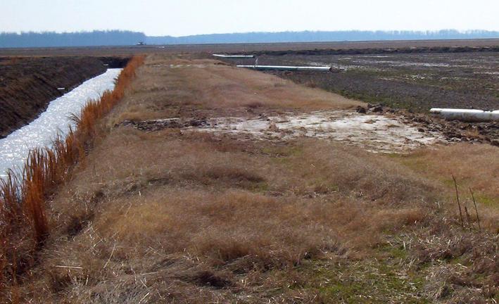 View south from the confluence.