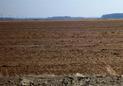 #3: View east from the confluence.