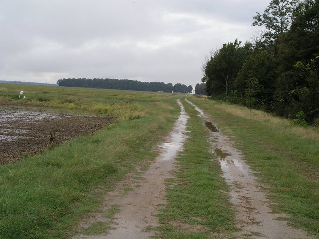 This east-west farm road lies just north of 35N 91W.