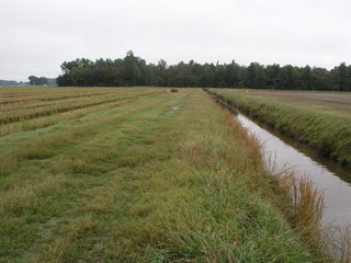 #1: 35N 91W sits on the edge of a drainage ditch in the middle of farm country.