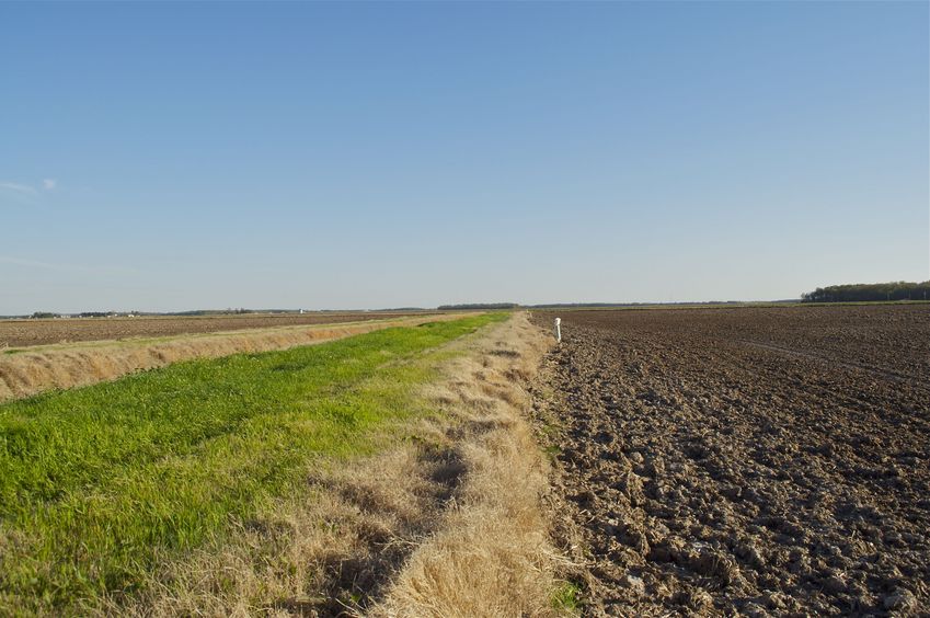 View South (towards the freeway, in the distance)