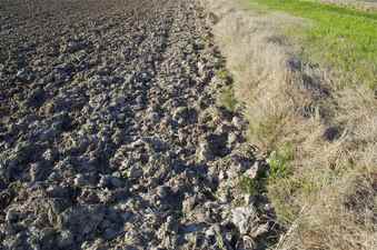 #1: The confluence point lies in this plowed field, just a foot or two from the banks of an irrigation canal