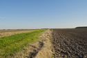 #4: View South (towards the freeway, in the distance)