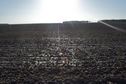 #5: View West (across the plowed field, and into the setting sun)