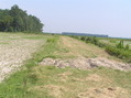 #5: View to the north from the confluence.