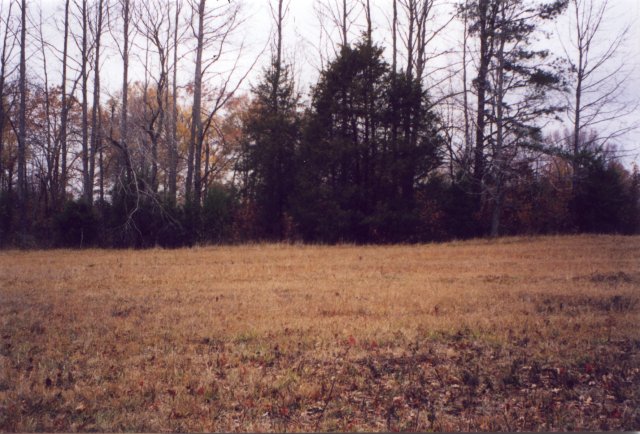 View NW across pipeline right-of-way.