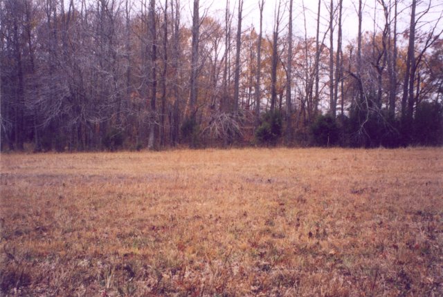 View WNW across pipeline right-of-way.