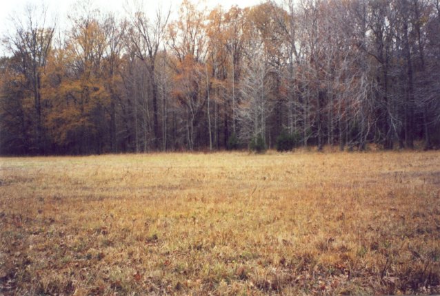 View W across pipeline right-of-way.