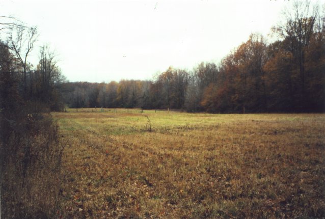 View to SW.  HW-167 is about 200 feet to the left across a treeline.