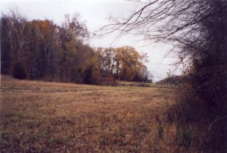 #1: View to the NW from the confluence (the most scenic view)