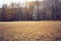 #5: View W across pipeline right-of-way.