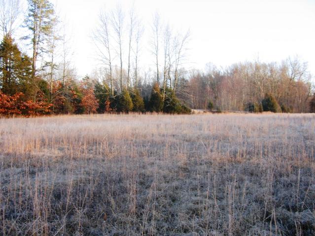 Looking to the North from the confluence