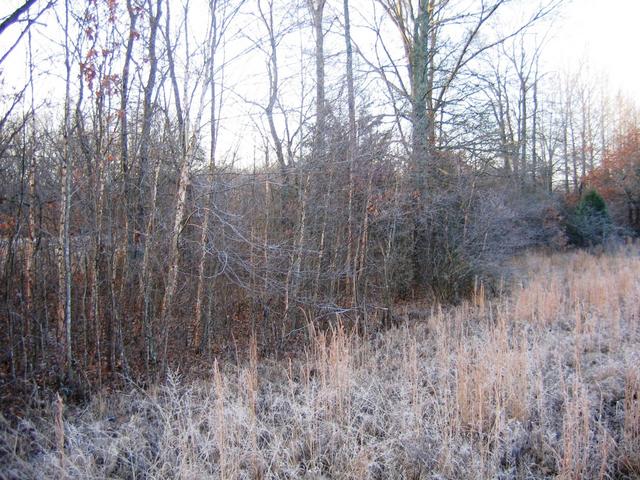 Looking to the South from the confluence