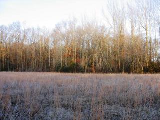 #1: Looking to the West from the confluence