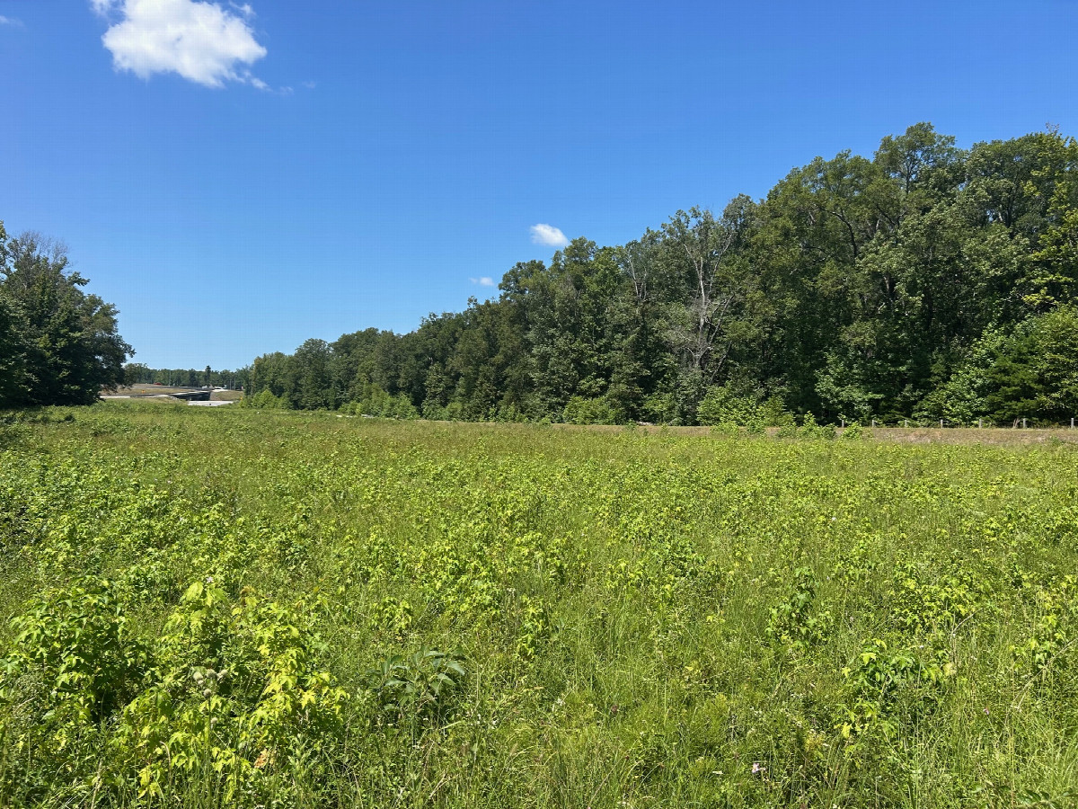 A view to the west from the confluence, toward Exit 21.