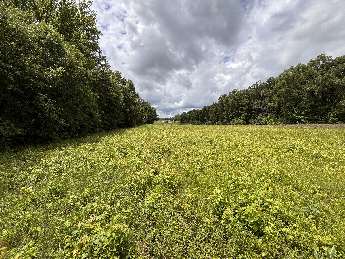 A view to the west from the confluence.