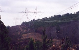 #1: View ESE along Entergy Corp. high voltage line right-of-way