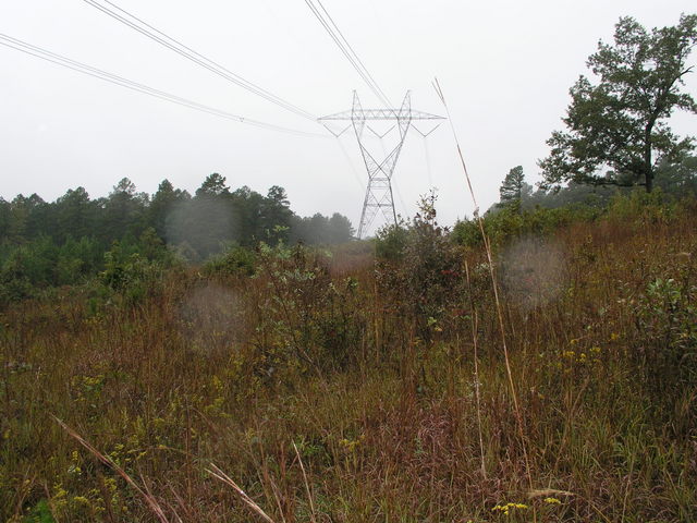 Looking west from 35N 93W toward power line support tower.