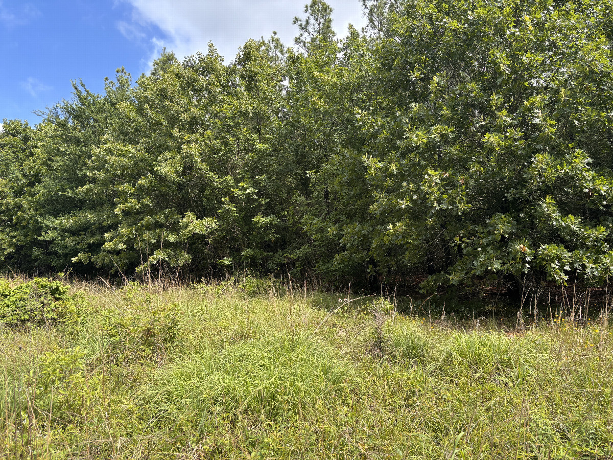 A view to the north from the confluence site. 