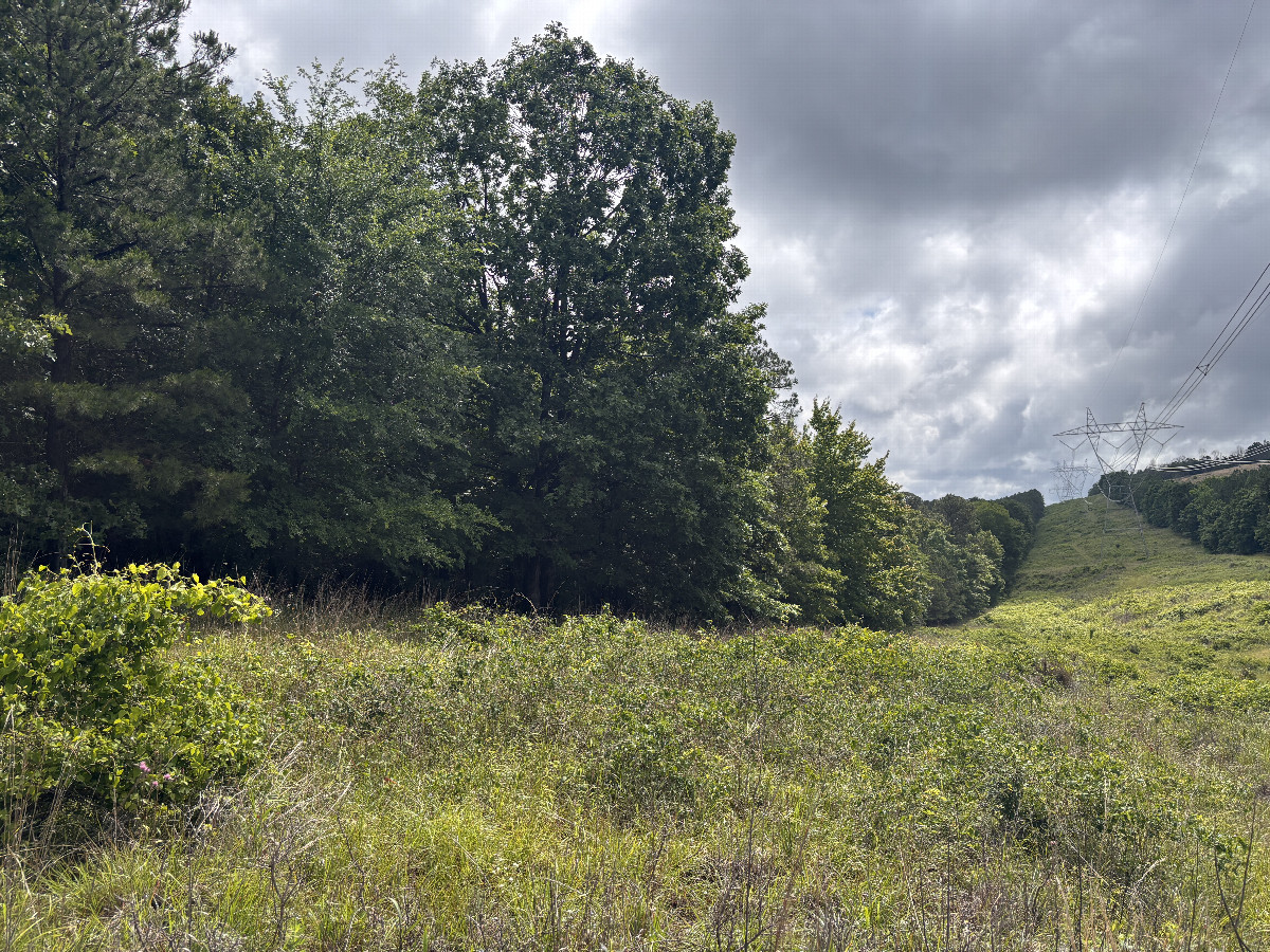 A view to the east from the confluence site. 