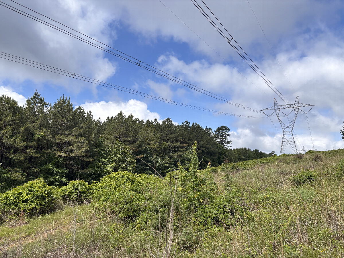 A view to the west from the confluence.  