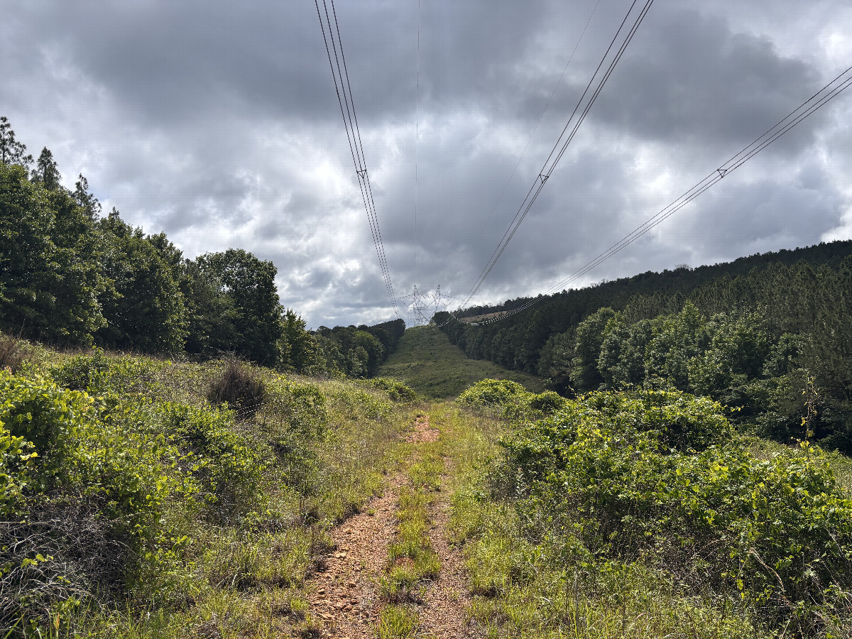 The pathway to the confluence.