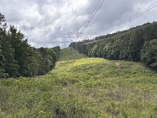 #1: The confluence lies in the foreground of this picture looking toward the south east 