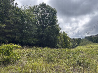 #3: A view to the east from the confluence site. 