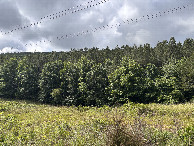 #4: A view to the south from the confluence.