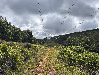 #8: The pathway to the confluence.