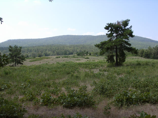 A field about 150 feet due south of the confluence