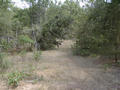 #4: Walking path from the county road looking north