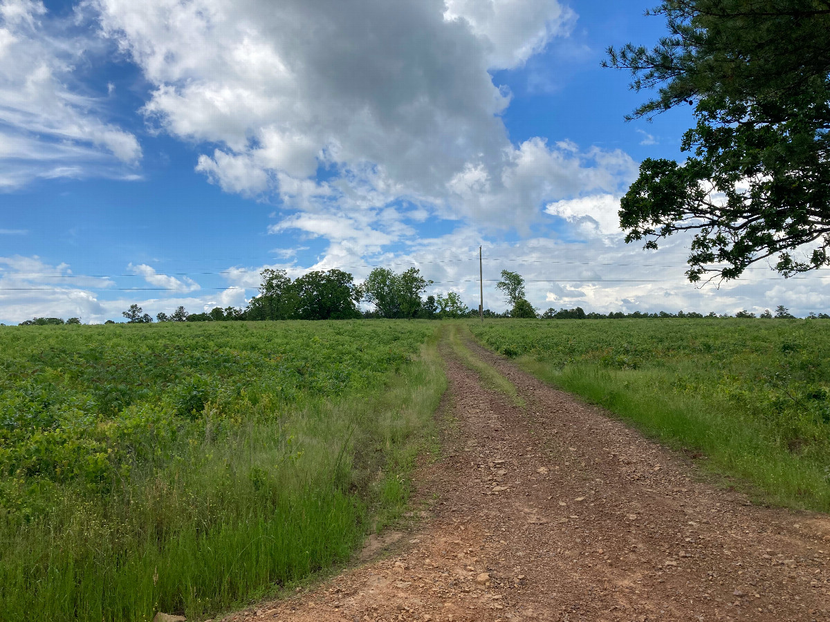 Path to the confluence, looking north from where we parked