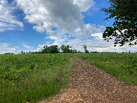 #7: Path to the confluence, looking north from where we parked